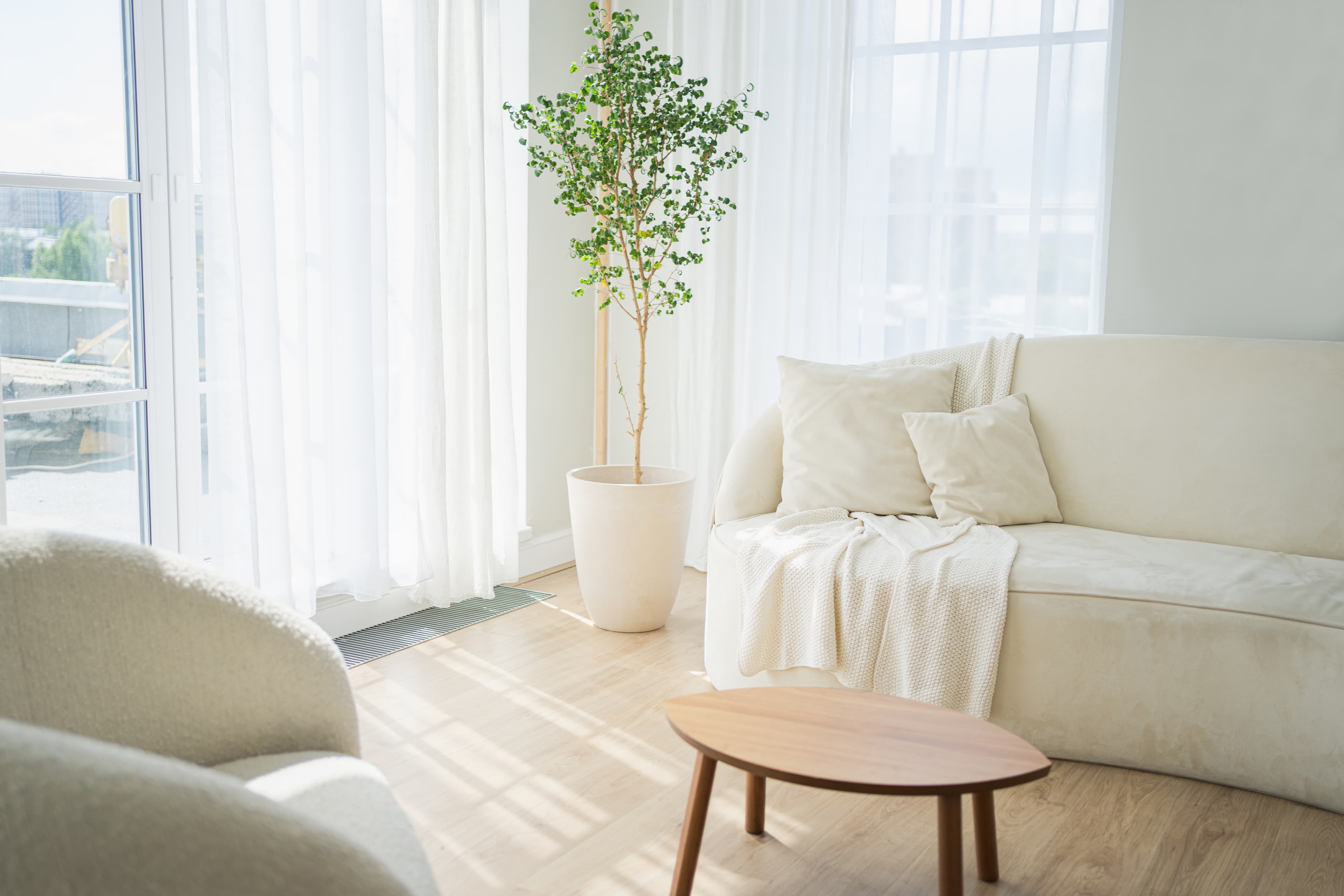 Équipe professionnelle